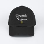 Big Accessories 5 Panel Cap