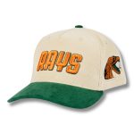 2025 Rays FAMU Hat Cap Giveaway