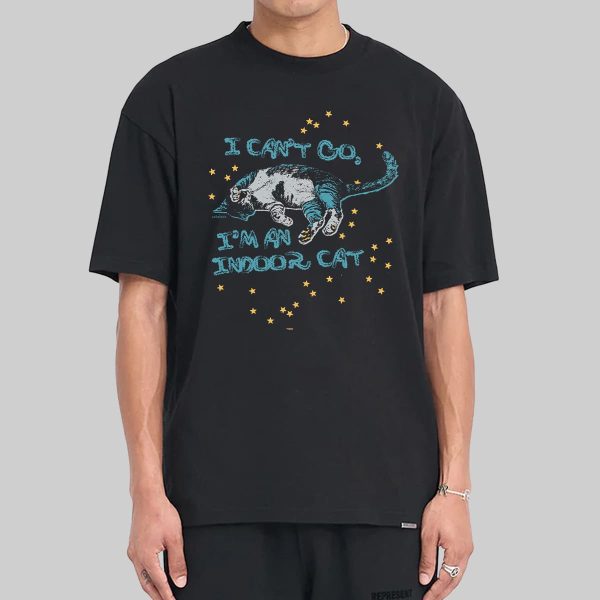 I Cant Go Im An Indoor Cat Shirt 1