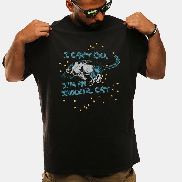 I Cant Go Im An Indoor Cat Shirt 12