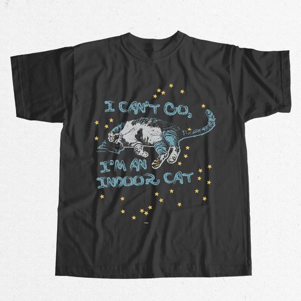 I Cant Go Im An Indoor Cat Shirt 9