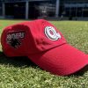Braves HBCU Night Clark Atlanta University Panthers Hat 2025
