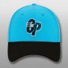 Carolina Panthers CP Hat 1