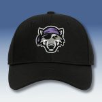 Erie SeaWolves Strike Out Cancer Cap Hat Giveaway 2025
