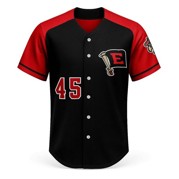 Erie SeaWolves Take Meow to the Ballgame Jersey Giveaway 2025 1