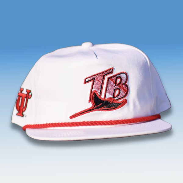 Rays University of Tampa Night Hat 2025 1