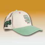 San Diego Alzheimer's Awareness Night Hat Giveaway 2025