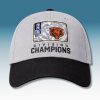 Chicago Bears 2025 NFC North Division Champs Gray Hat 2