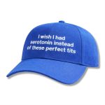 I Wish I Had Serotonin Instead Of These Perfect Tits Hat