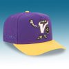 Minnesota Vikings Cartoon Hat 2025