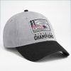 New England Patriots AFC East Champions Hat 2025 3