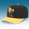 Pittsburgh Steelers Cartoon Hat 2025