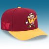 Washington Commanders Cartoon Hat 2025 1
