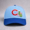 Cubs Spring Training Hat 2026