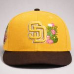 Padres Spring Training Hat 2026