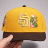 Padres Spring Training Hat 2026