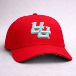 Bad Bunny Puerto Rico Upside Down Hat