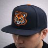 SeaWolves Flagship City Kitties Hat 2026 1
