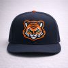 Erie SeaWolves Flagship City Kitties Hat 2026 3 SeaWolves Flagship City Kitties Hat 2026