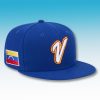 Team Venezuela WBC 2026 Hat 2