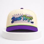 Tampa Bay Rays Devil Rays Retro Hat 2026 Giveaway