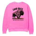 Land Back From Turtle Island To Palestine Shirt