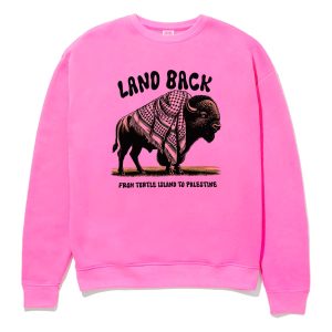 Land Back From Turtle Island To Palestine Shirt 10