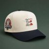 America 250th Astros Stars and Stripes Hat