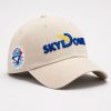 Blue Jays SkyDome Vintage Hat 1