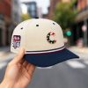 Chicago Cubs USA 250 4th of July Hat 1