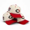 Cincinnati Reds USA 250 4th of July Hat 1