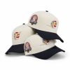 Dolphins America 250 Stars and Stripes Hat