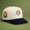 Dolphins America 250 Stars and Stripes Hat 4