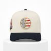 Steelers America 250 Stars and Stripes Hat 4