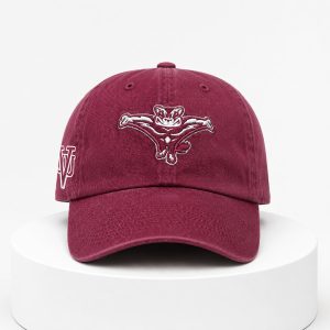 Richmond Flying Squirrels x VUU Hat 2026 1