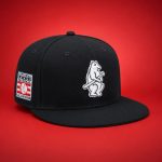 2026 Chicago Cubs Hall of Fame Hat