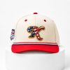 Knoxville Smokies 4th of July USA 250 Hat 4