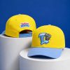 2026 Lansing Lugnuts Backyard Baseball Hat Giveaway 11 Lansing Lugnuts Backyard Baseball Hat Giveaway 2026 1