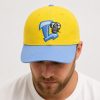 2026 Lansing Lugnuts Backyard Baseball Hat Giveaway 6 Lansing Lugnuts Backyard Baseball Hat Giveaway 2026 3