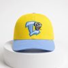 2026 Lansing Lugnuts Backyard Baseball Hat Giveaway 7 Lansing Lugnuts Backyard Baseball Hat Giveaway 2026 4