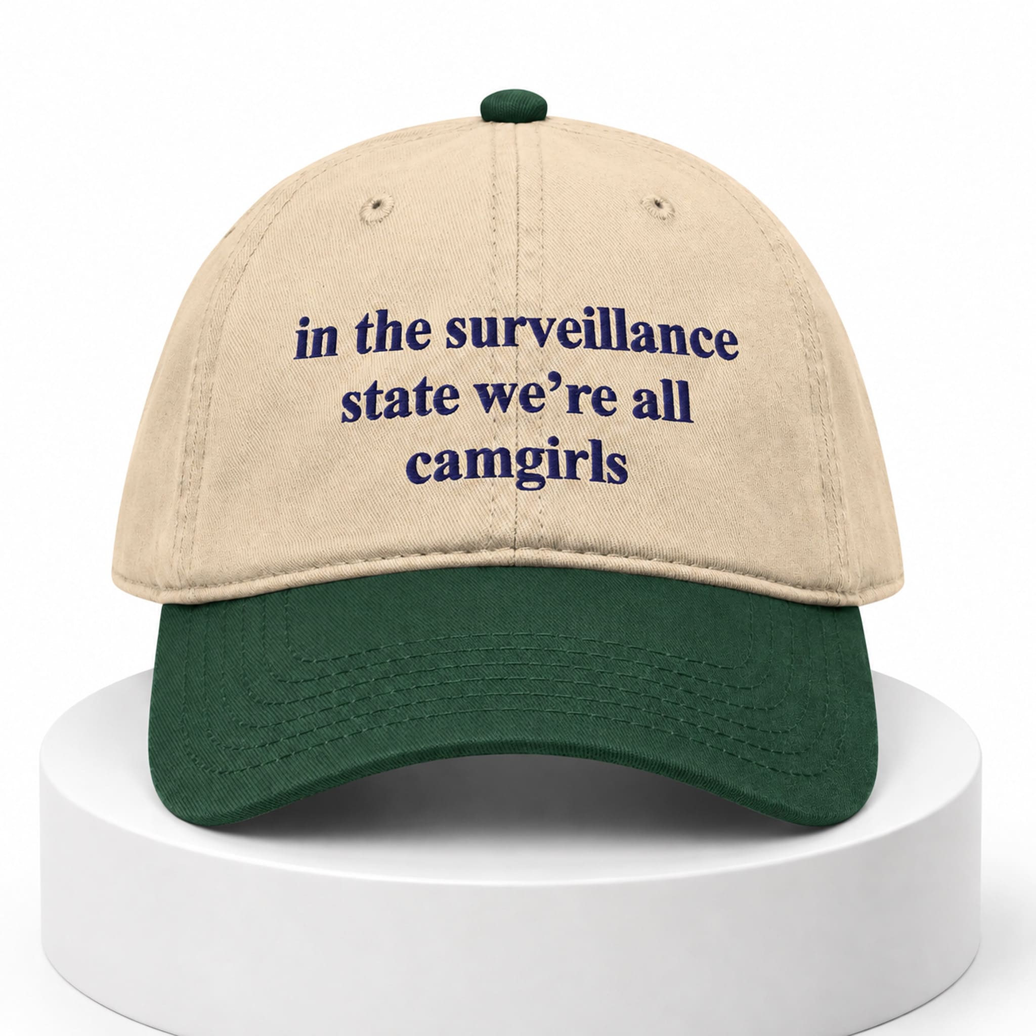 In The Surveillance State We're All Camgirls Hat 1 In The Surveillance State We're All Camgirls Hat 1