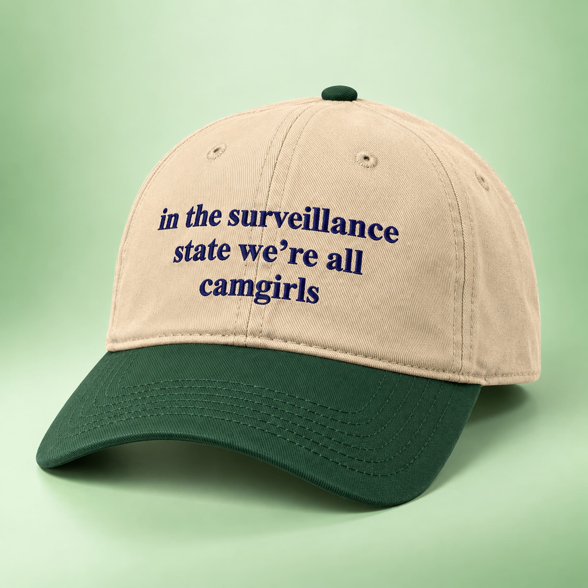 In The Surveillance State We're All Camgirls Hat 5 In The Surveillance State We're All Camgirls Hat 5